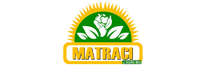 logotype