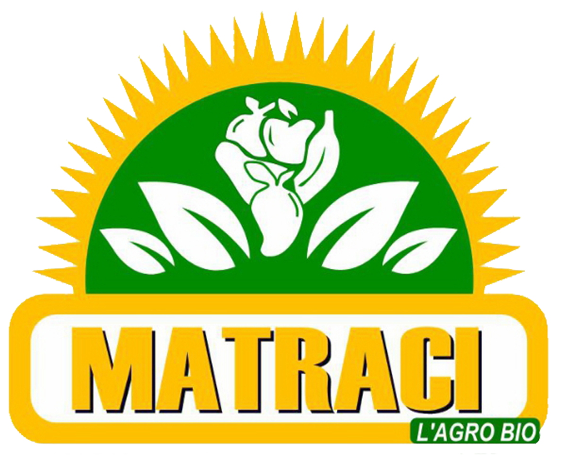 logotype